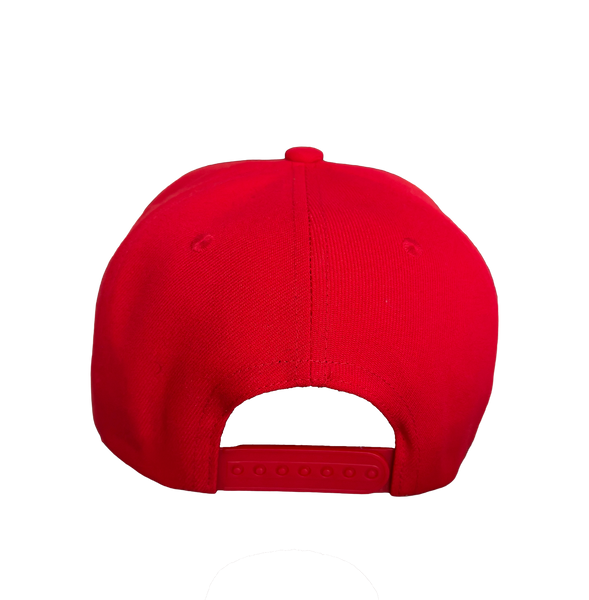 red tail eb snapback