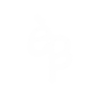 earlybirdz.ca